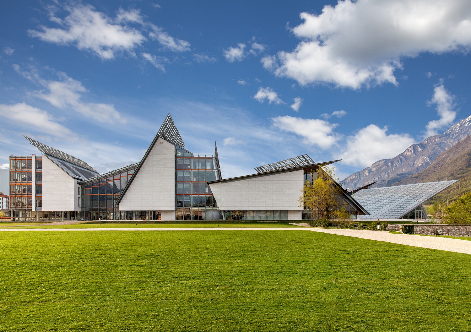 foto Roberto Nova. Archivio MUSE Museo delle Scienze low