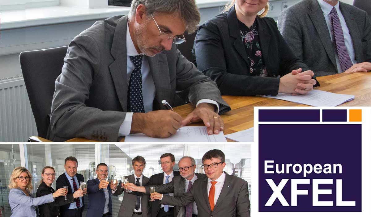 firma xfel