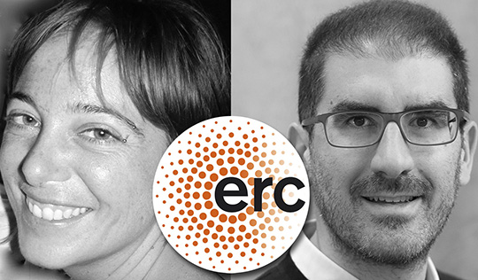 ERC news sito