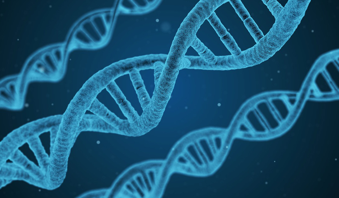 sito dna 1811955 1280