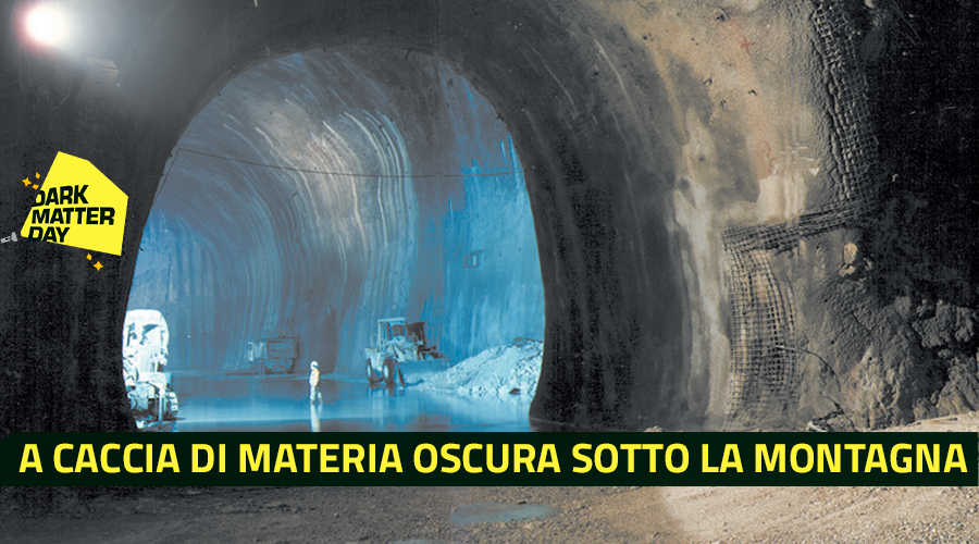 dmd news3