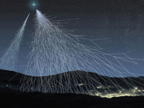 Astroparticles and cosmic messengers