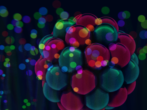Nuclei and atoms