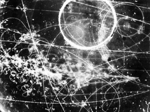 Neutrinos