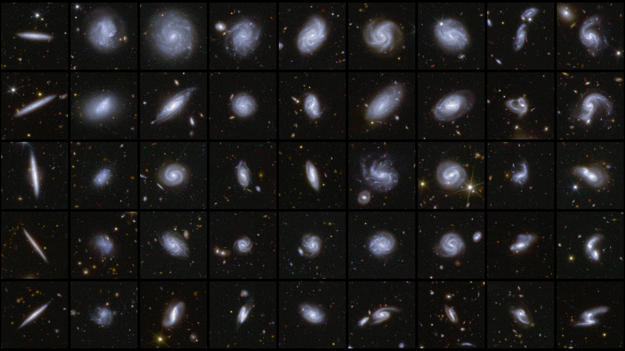 Collage di galassie di forme diverse catturate da Euclid