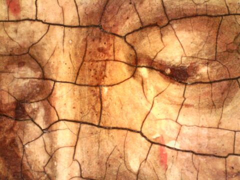 Icona "Gesù che porta la Croce", dettaglio del volto al microscopio. ©INFNCHNeT