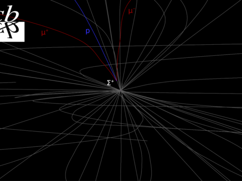 Decadimento del barione sigma-plus ©LHCb
