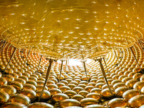 Esperimento JUNO: sfera di acrilico al centro del rivelatore e fotomoltiplicatori. ©JUNO Collaboration