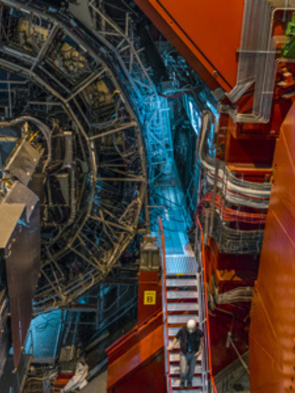 L'esperimento ALICE al Large Hadron Collider del CERN