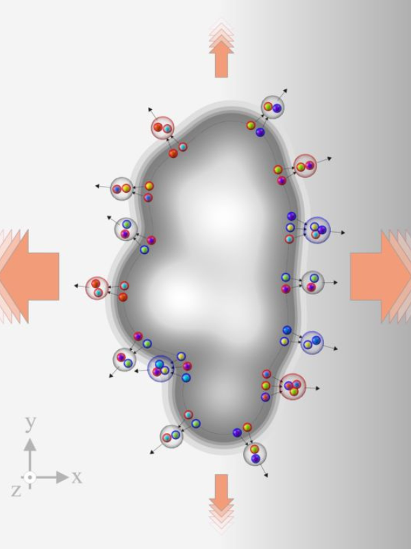 Illustrazione schematica del flusso anisotropo, in cui i quark sono spinti verso l’esterno con velocità che dipende dalla direzione (frecce di dimensione diversa) e poi formano gli adroni attraverso il meccanismo della coalescenza